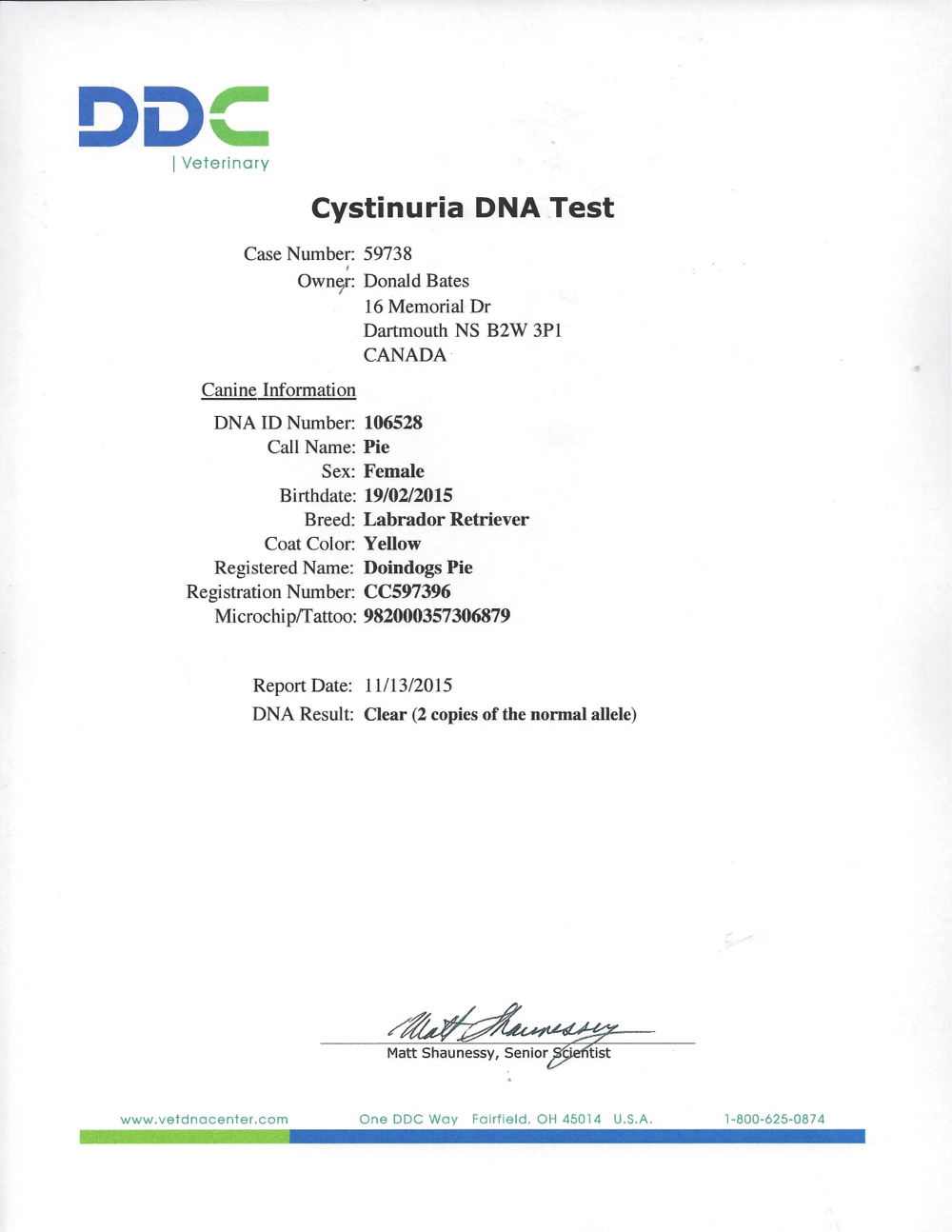 CYSTINURIA DNA CLEAR